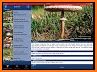 Plant Identification, Mushroom Identifier Apps related image