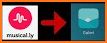 Muser download for musically Musesave, Tik tok app related image