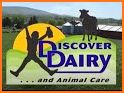 Discover Dairy related image