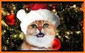 Adorable Christmas Cat Theme related image