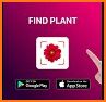 FindPlant - New Plant identification related image