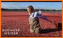 Wisconsin Cranberry Growers related image