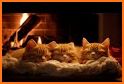 Cozy Cats related image