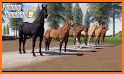 Real Horse Racing World - Riding Game Simulator related image