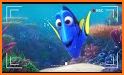 Dory Live related image