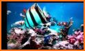 Coral Reef Fish Aquarium Sim related image