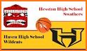 Hesston Swathers related image