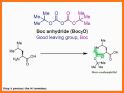 Amino Acid Synthesizer related image