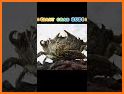 Crab Evolution related image