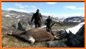 Sniper Animal Hunting 2019 related image