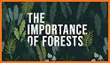 Save The Forest! related image