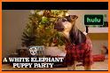 Cute Holiday Puppies Theme related image