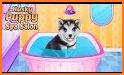 Husky Puppy Spa Salon related image