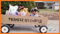 Promise Pets by Build-A-Bear related image