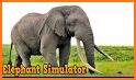 Elephant Simulator related image