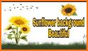 Sunflowers 2 Keyboard Background related image