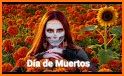 Día de los Muertos FONDOS HD related image