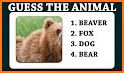 Guess the Animal Puzzle related image