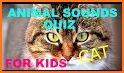 Animals Quiz related image