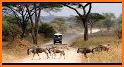 Savanna Safari Craft: Animals related image