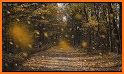 Autumn Leaf Fall Live Wallpaper related image