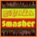 Pinata Smasher related image