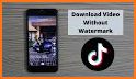 Download Video No Watermark - SaveTik related image