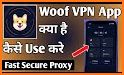 Fast Secure VPN Proxy: Skypiea related image