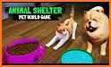 My Pet Dog - Pet World Puppy Game Pet Simulator related image