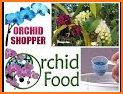 Orchids Shopper related image