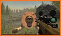 Animal Hunting Sniper Shooter - Safari Hunt Game related image