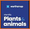 EarthSnap - Nature Identifier related image