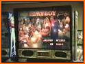 Pinball Fantasy Arcade Games related image