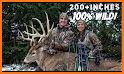 Grand Deer Hunting 2019 related image