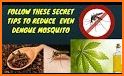 Dengue Mosquito Repellent related image