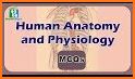 General Medical Quiz On Human Anatomy related image