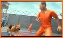 Police Dog Prison Escape Survival related image