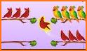 Bird Color Sort - Match Puzzle related image