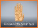 Evolution: fingers related image