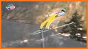 Ski Jumping Pro related image