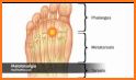 Referred Pain Index related image