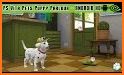 PS Vita Pets: Puppy Parlour related image