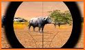 Wild Animal Safari Hunting 3D:Sniper Shooting Game related image