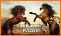 Pony Puzzles: Pony and Horse Jigsaw Puzzles related image