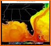 Seaside Buoy: Ocean Temperature & Tides related image