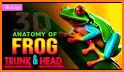 Visual Anatomy 3D - Frog related image