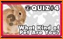 What cat breed are you? Test related image