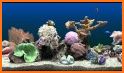 3D marine aquarium related image