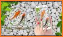 Koi Pet Fish Live Wallpaper related image