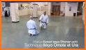 Aikido Test 4 kyu related image